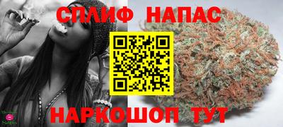 твердый Камышлов