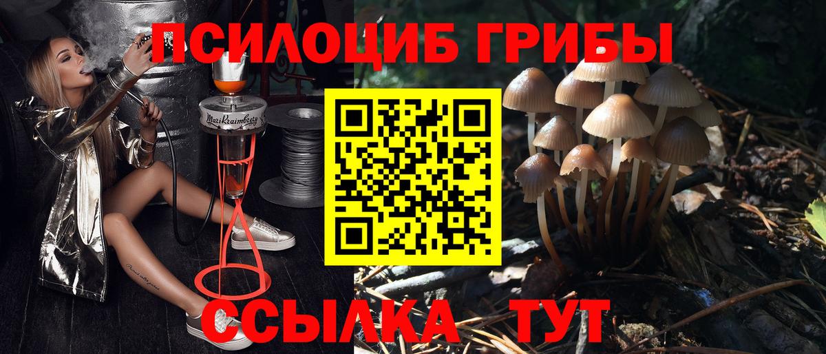 Ханты-Мансийск  Псилоцибиновые грибы MAGIC MUSHROOMS  Вход с VPN 